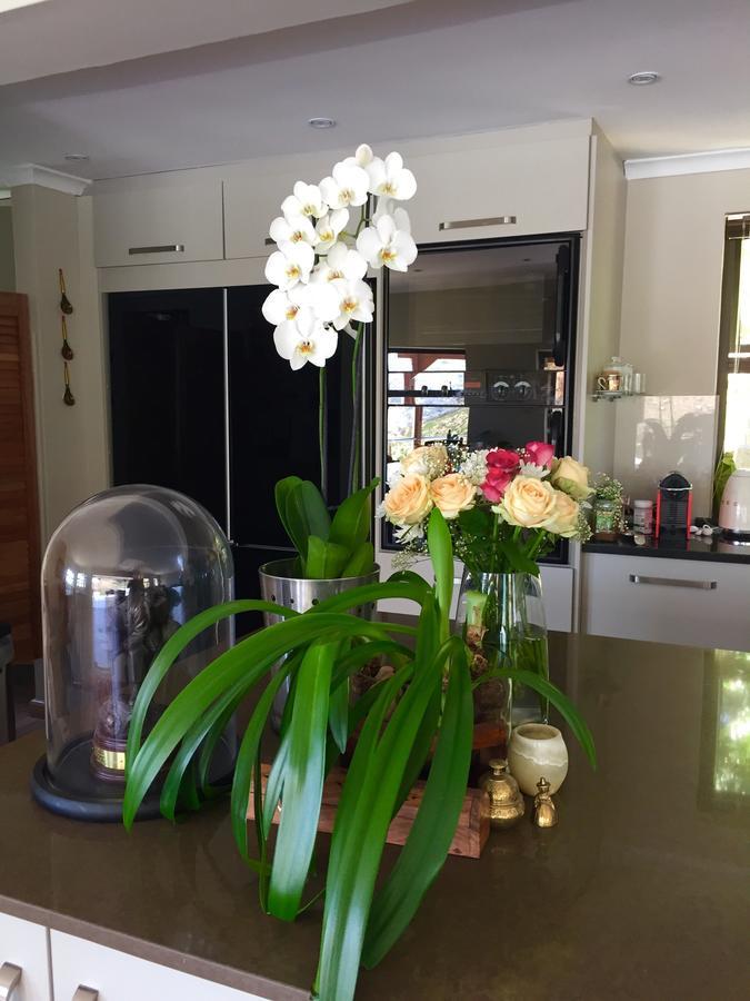Protea Point Bed & Breakfast Cape Town Exterior photo
